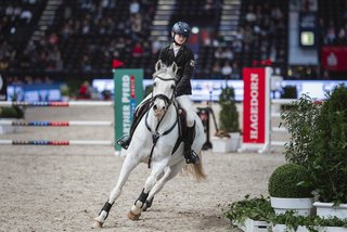 Springreiten mit Fokus auf Hagedorn Barrieren