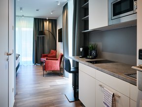 Moderne Küche und Wohnzimmer in einem Raum