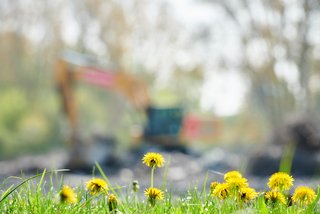 Bagger arbeitet hinter Löwenzahnwiese im Frühling